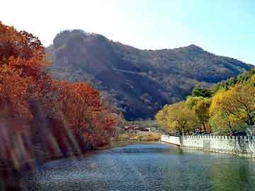 澳门天天彩期期精准平肖，天狮空气净化器